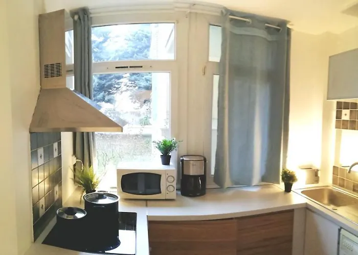 Apartamento Du Parc Des Tilleuls De 82 M2 Pkg Free
